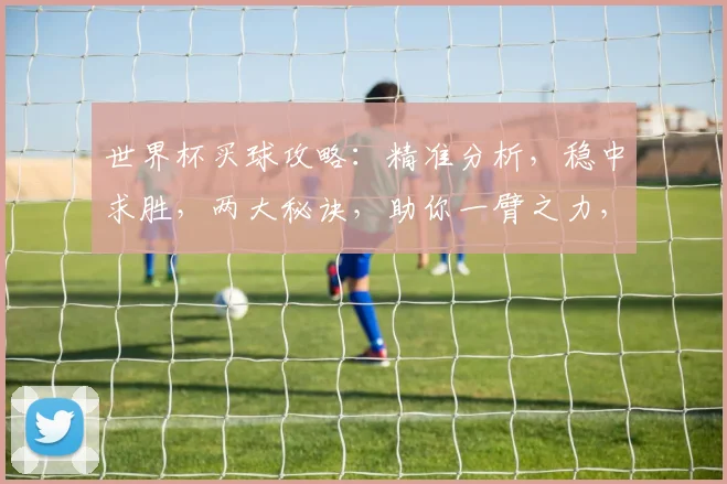 世界杯买球攻略：精准分析，稳中求胜，两大秘诀，助你一臂之力，轻松赢球